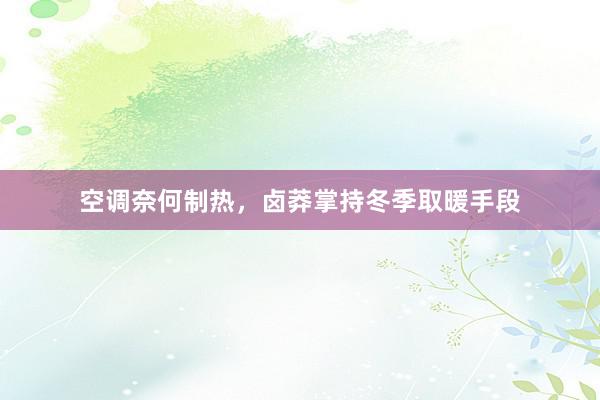 空调奈何制热，卤莽掌持冬季取暖手段